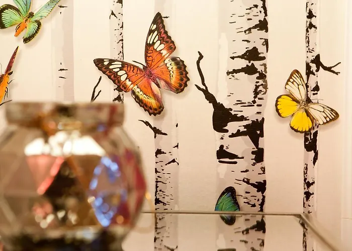 Five Senses Albergue Coimbra